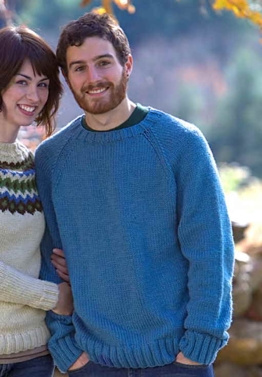 Mens Mans 70s vintage chunky knit crew neck stag reindeer Christmas raglan  sweater jumper pdf knitting pattern 36 to 44 PDF Download 831